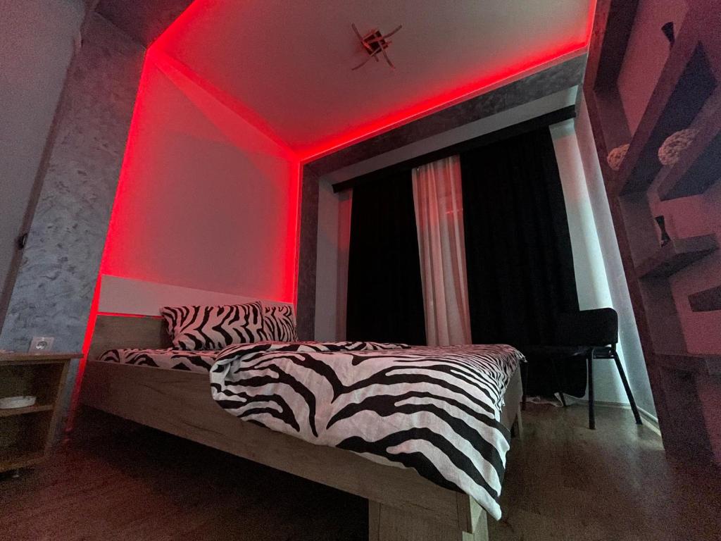 Sekulic Apartments photo