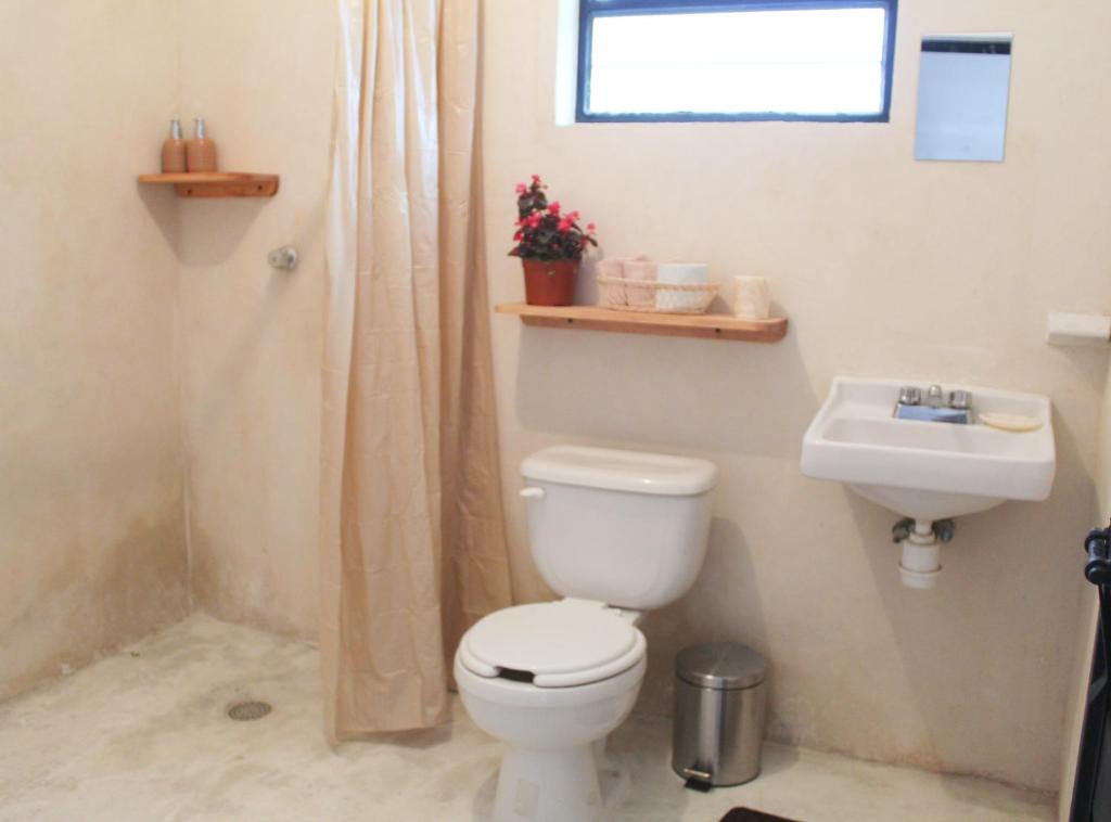 Casa Sofia Guest House photo