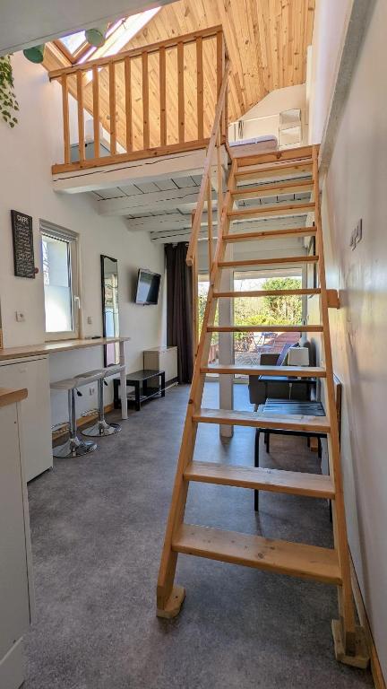Studio Mezzanine Chez Papou, Ville et Forêt - 5