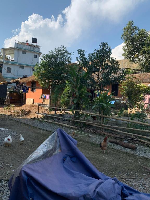 My beautiful cottage in pokhara photo