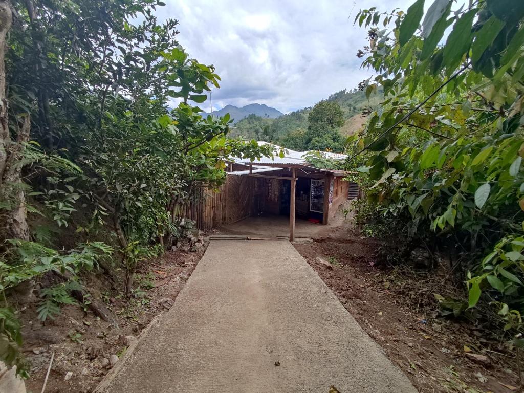 Entrada