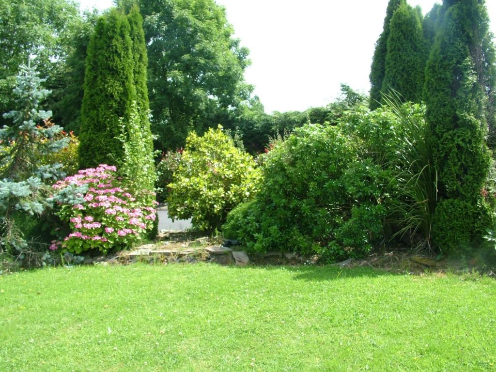 Garden, Quarry Ridge B&B in Carlow