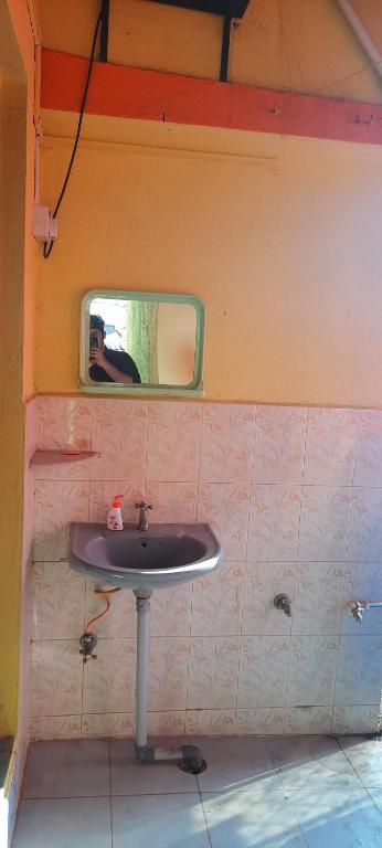 VISAVA Home Stay photo