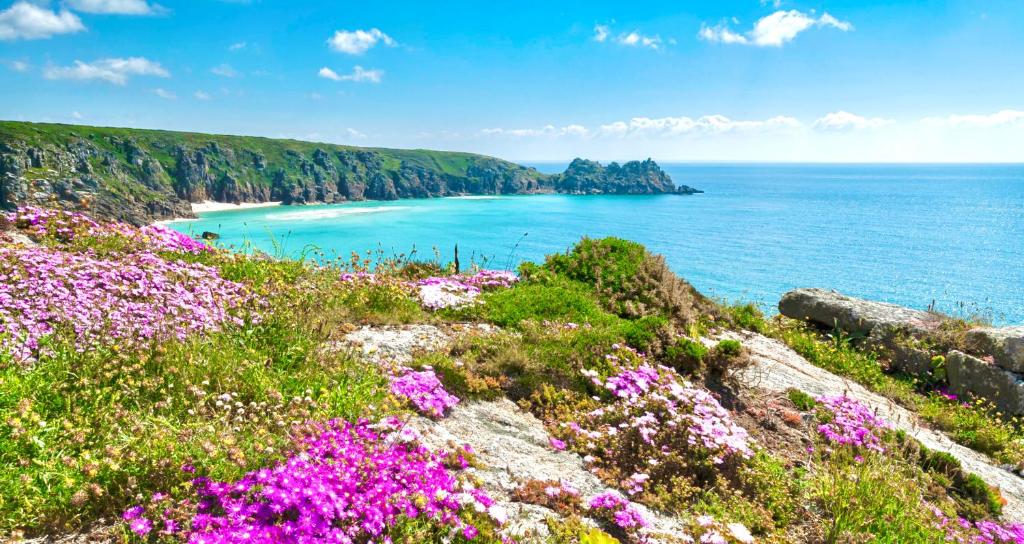 Romantic log-burner Cornish Cottage private garden dogs welcome photo 7