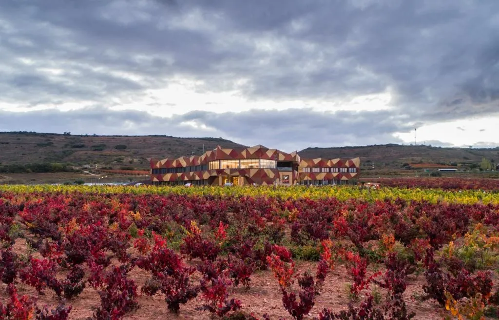 Hotel Bodega FyA - GRUPO PIÉROLA，位于纳瓦雷特的酒店