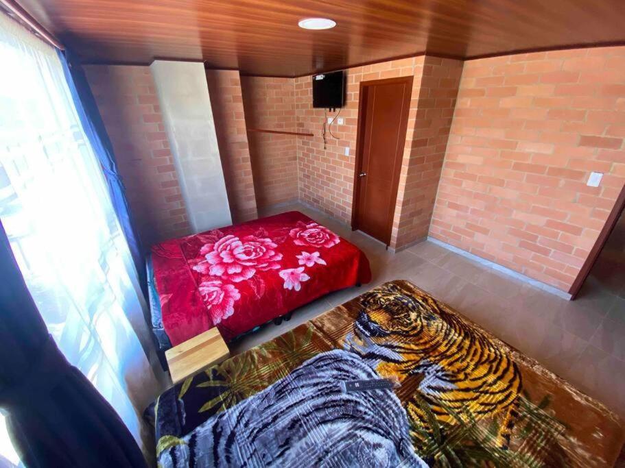 Hotel Villa Stella "Apartamentos y habitaciones" photo