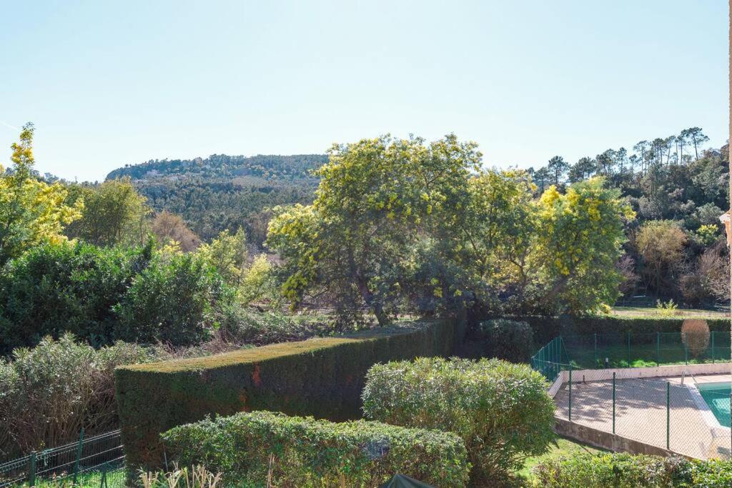 Palme d'Or YourHostHelper, Mandelieu-la-Napoule