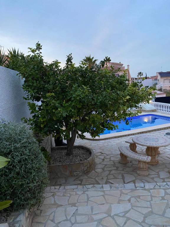 Casa di Paddy - 5