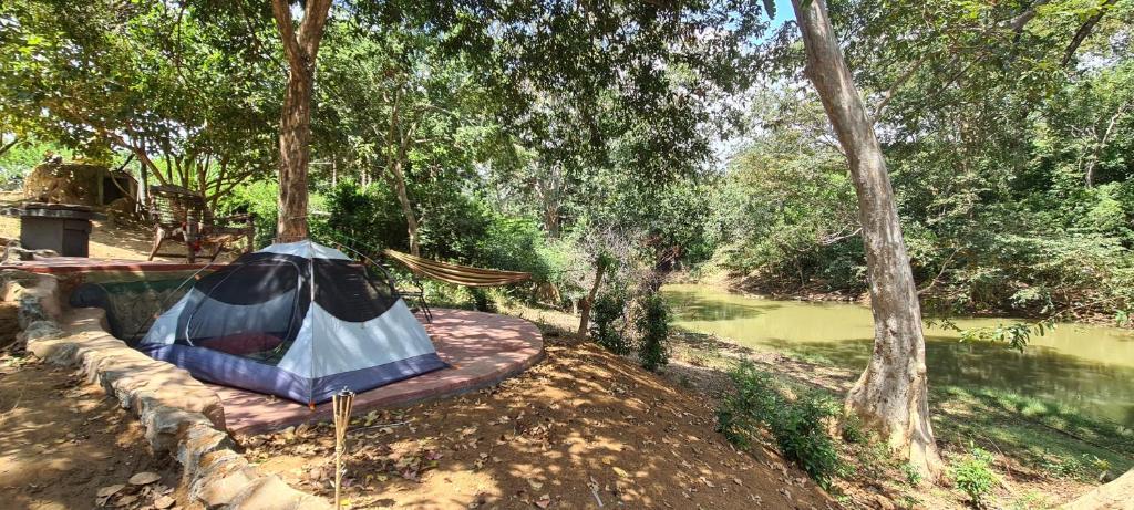 Jungle river humbhaha hostel photo