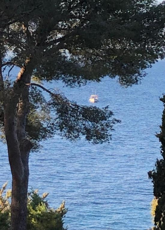 La Bonbonnière un oasis à Fréjus Plage 4 pers - 2