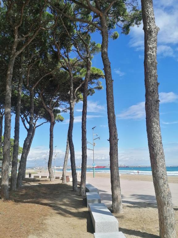Apartamento 1a línea playa La Pineda y 5 min Port Aventura - 2
