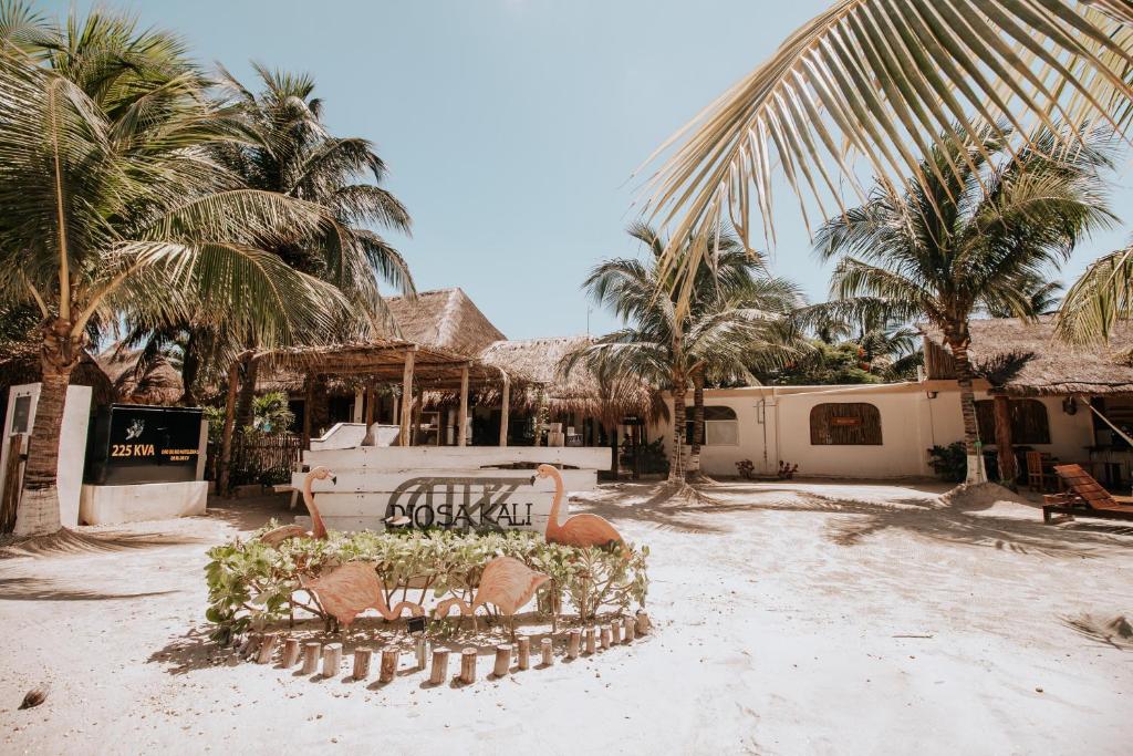 La Diosa Kali Beach Front Hotel — Hotel in Holbox Island