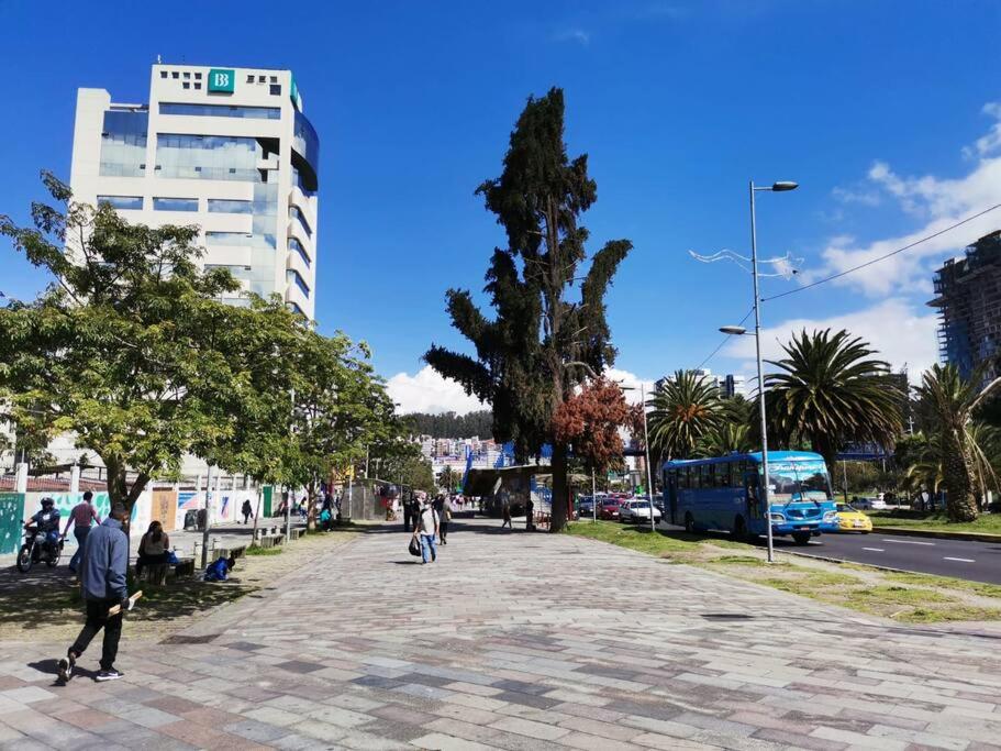 Suite Ejecutiva photo