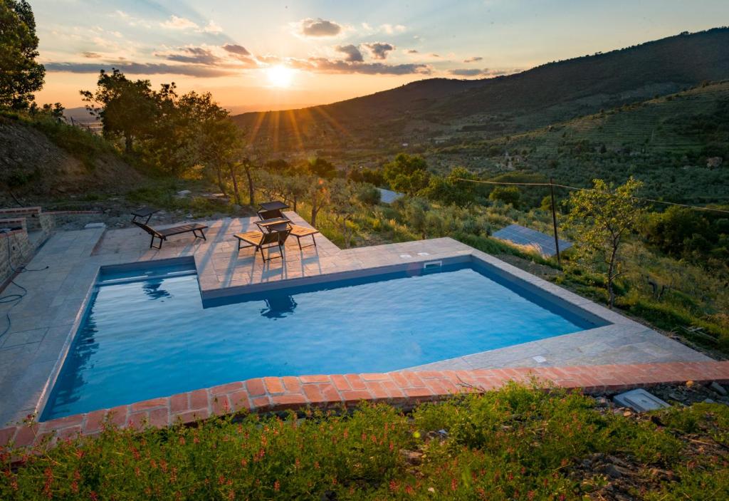 fringuello - Mandorlo, Cortona