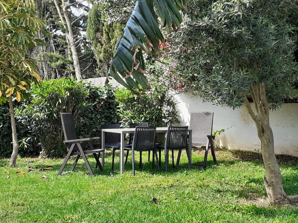 Chalet Zorollo con piscina - 2