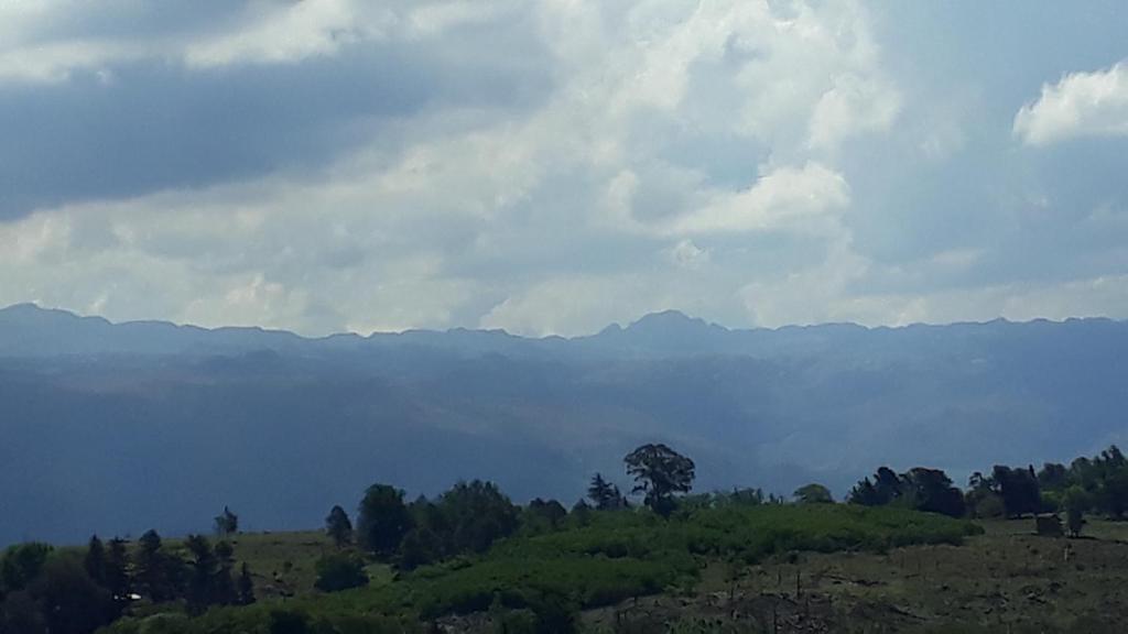 Yacanto360 - 5