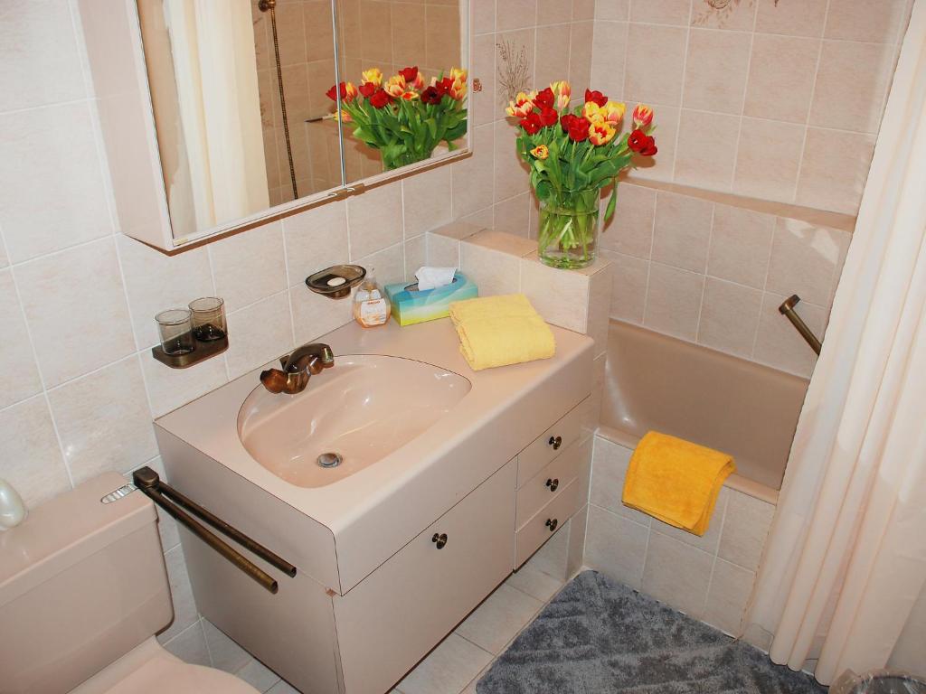 Holiday Home Cas'Anita by Interhome photo