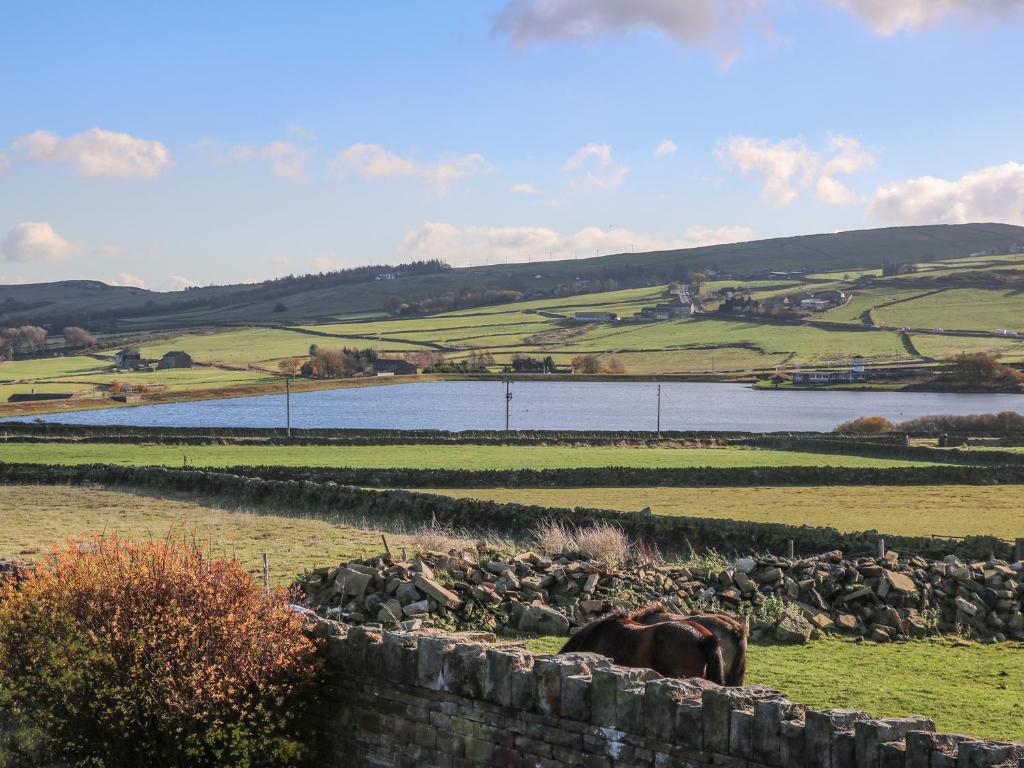 Boshaw Cottage, Hade Edge photo 6