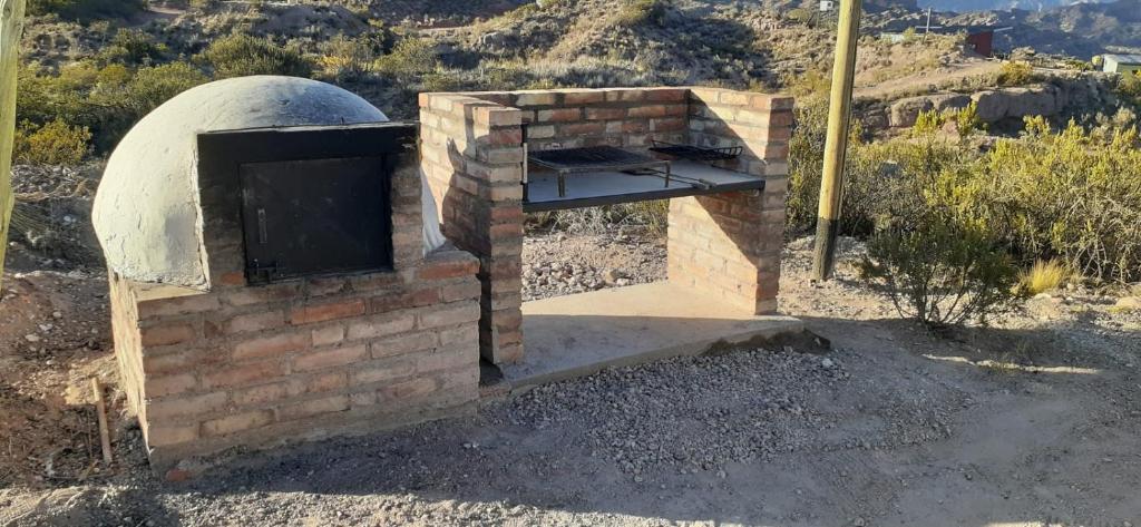 Piuquenes Potrerillos - 5