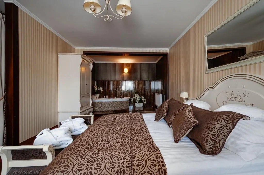 Hotel Chopin Business&SPA，位于索哈切夫的酒店