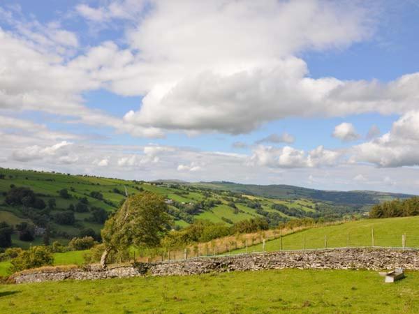 Hendre Aled Cottage 1 photo 8
