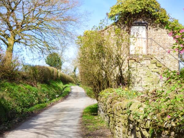 Goosepond, Craven Arms photo 7