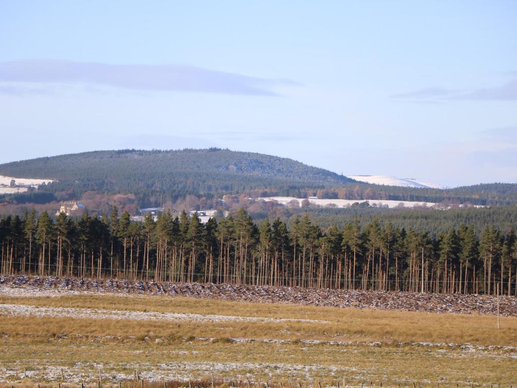 Corriemhor Beag, Cromdale photo 6