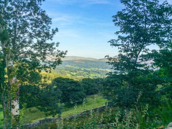 Tyn Llwyn, Dolgellau photo 7