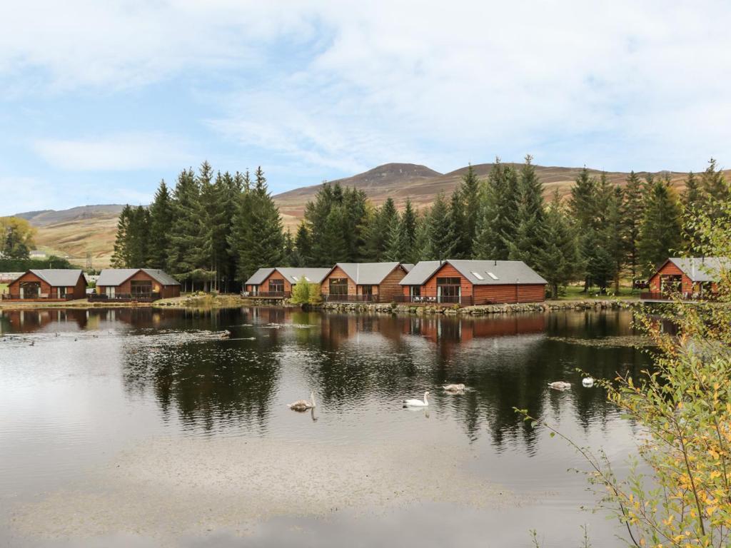 Burnside Lodge 1, Glengoulandie photo 7