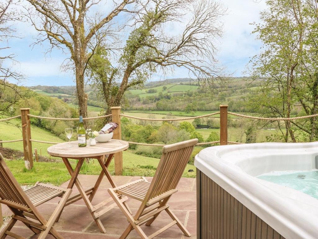 Little Silver Owl, High Bickington