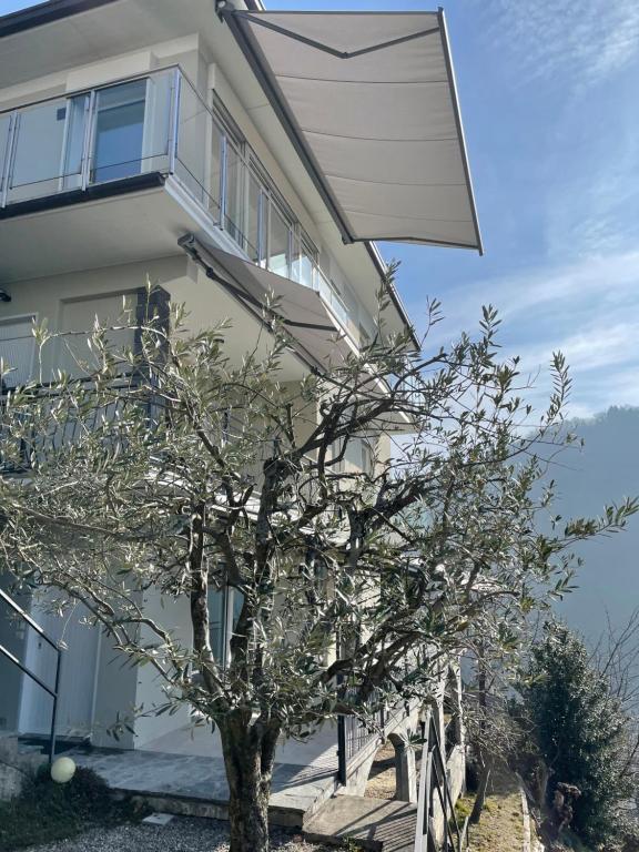 Casa Colmegna mit traumhaften See- und Bergblick - 4