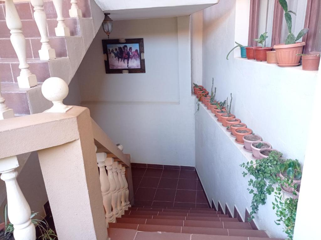 Hostal Aramayo photo