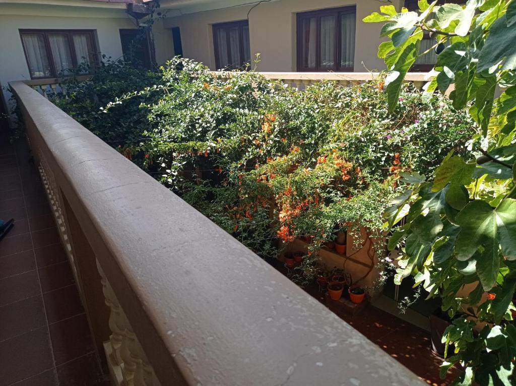 Hostal Aramayo photo