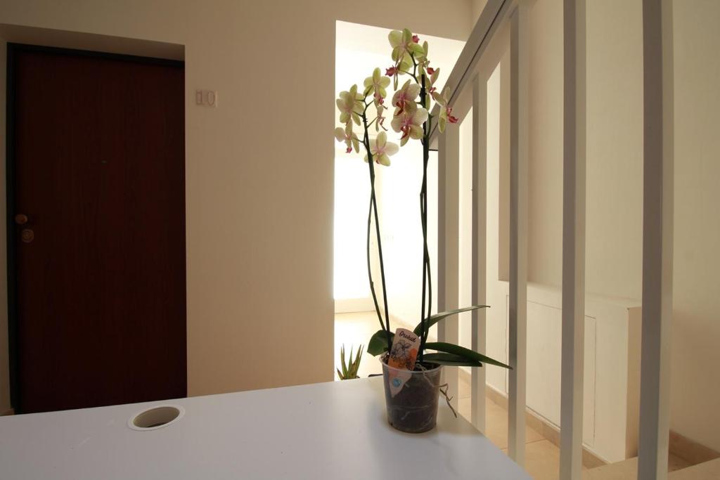 Casa "CrauNari" - 3