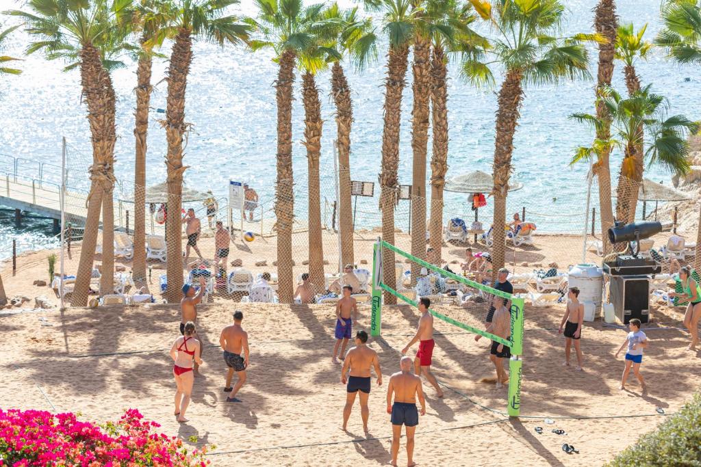 Sports and activities