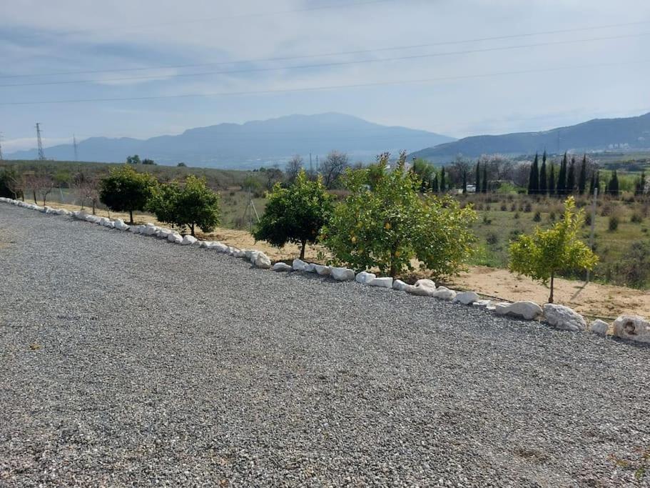 Andalusian farmhouse with barbecue, pool and wifi - 5