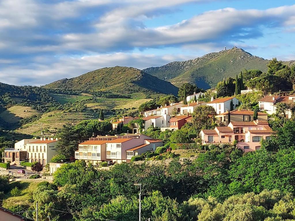 ROCADE DE COLLIOURE appt T4 avec grande terrasse et garage - 5