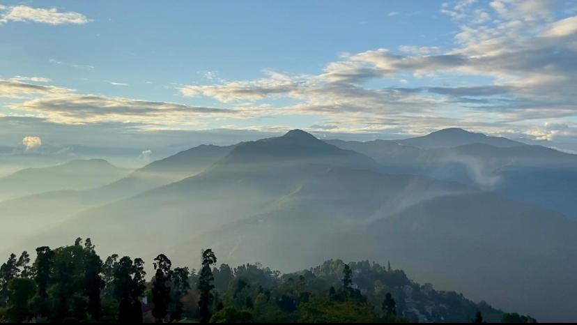 Dew Drop Homestay photo