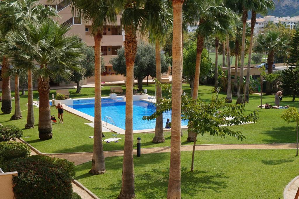 Apartamento Alcoy - 4