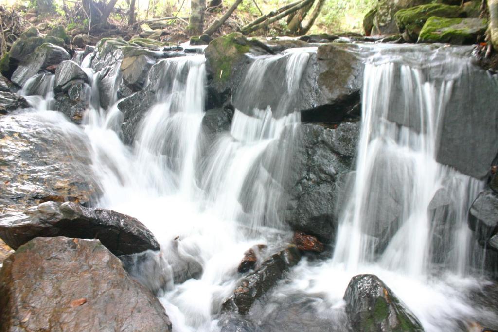 Surrounding environment