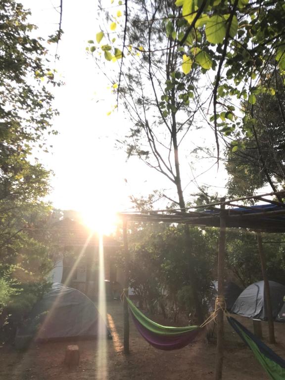Tusker Tribe Hostel photo