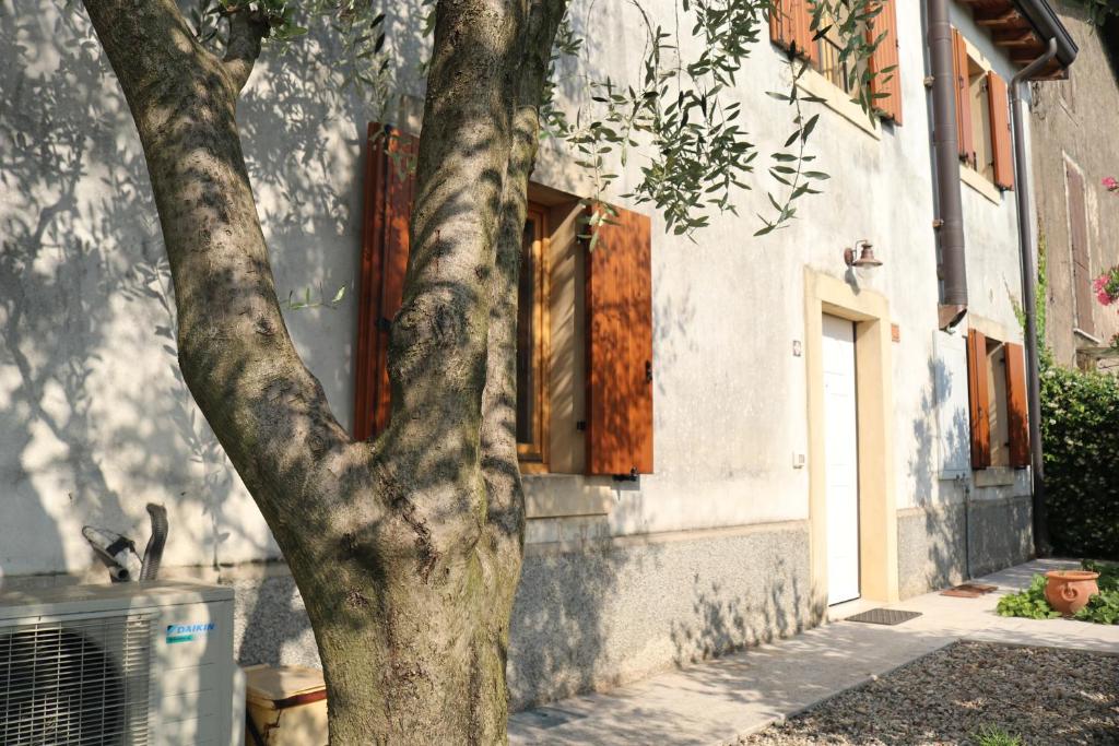 Casa Jasmin, 2 floors, private garden - 2