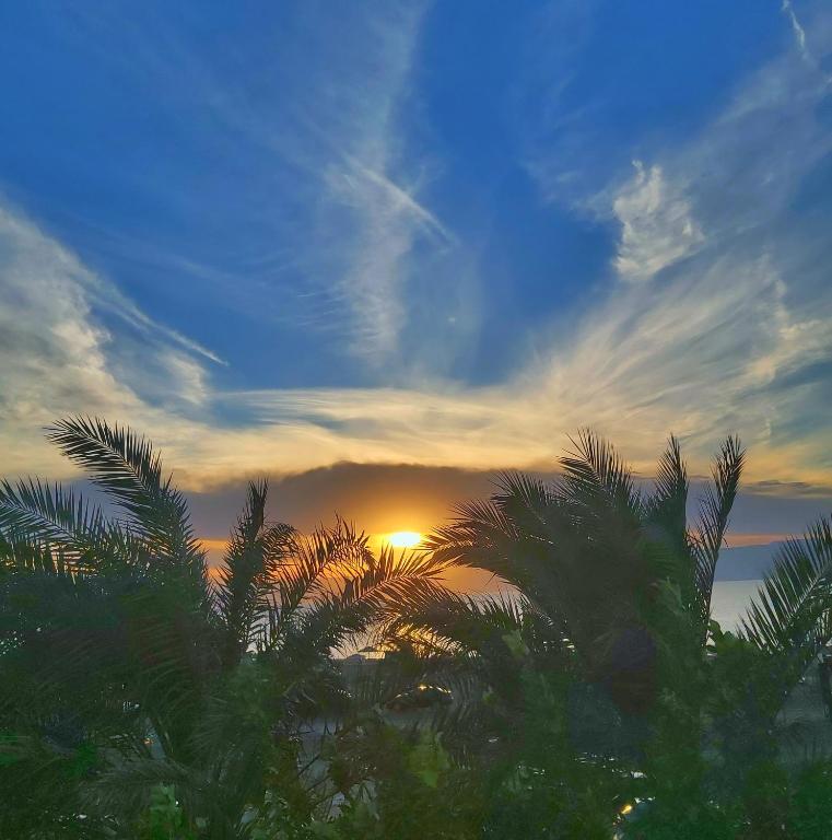 주변 환경