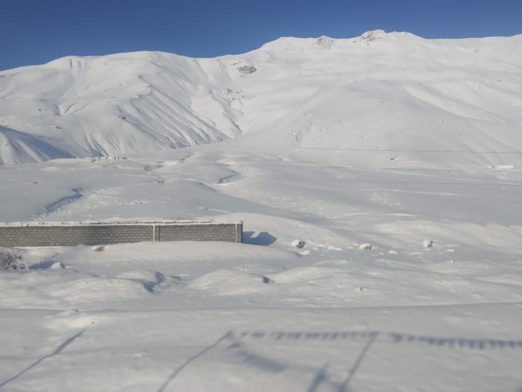 Spiti Valley Homestay photo