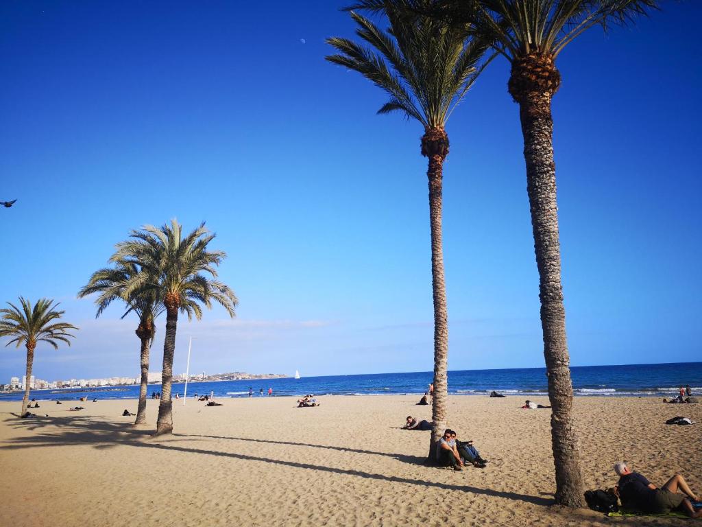 Allegra Suites Costa Blanca - 3
