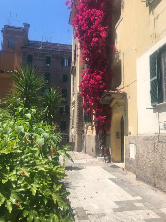 Casa vacanze "il vaticano a 2 passi" - 2