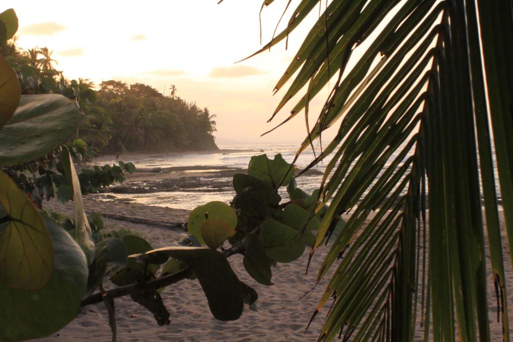 Surrounding environment