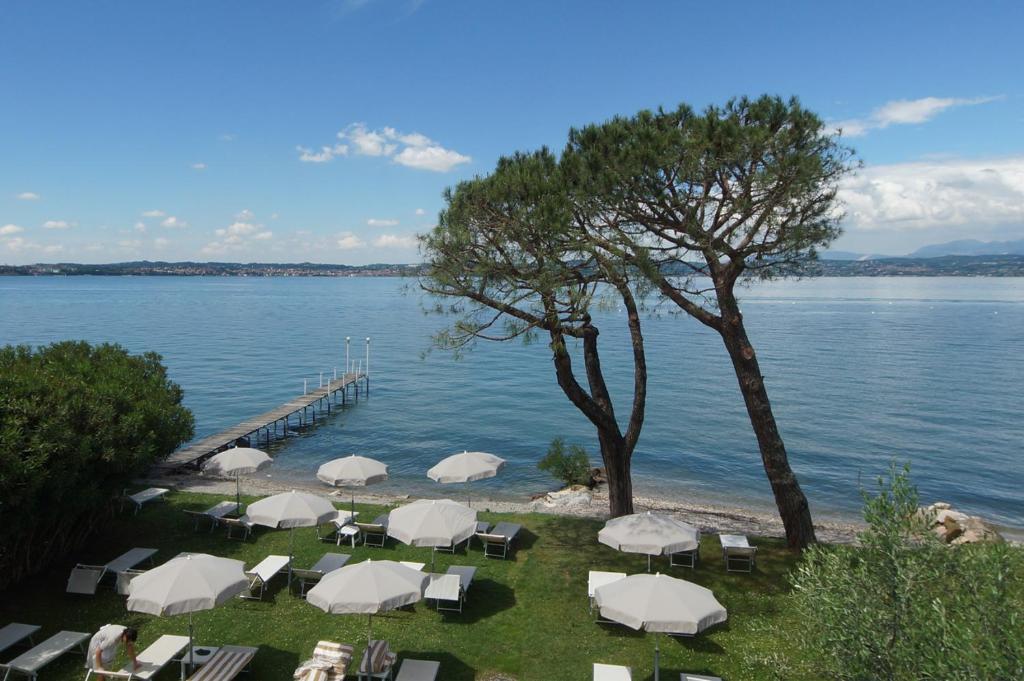 Hotel Saviola photo