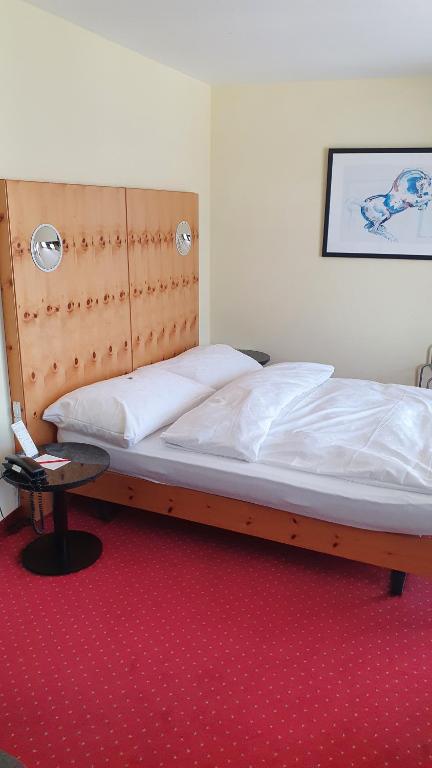 The Excelsior Arosa photo