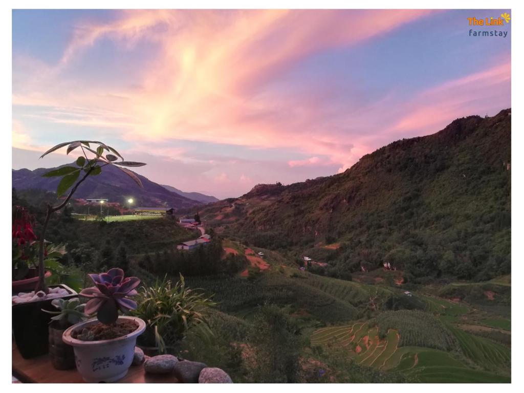 Surrounding environment